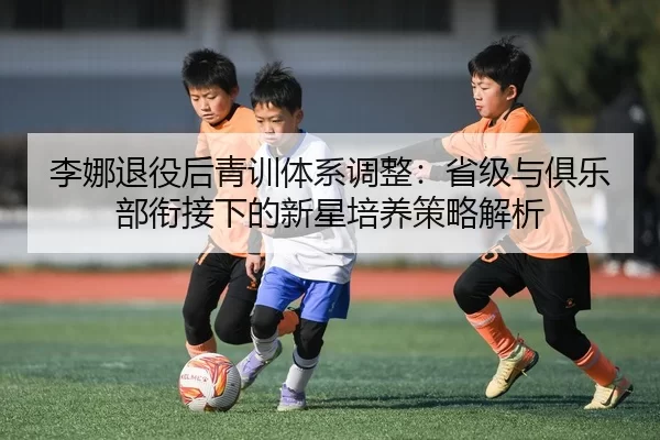 李娜退役后青训体系调整：省级与俱乐部衔接下的新星培养策略解析