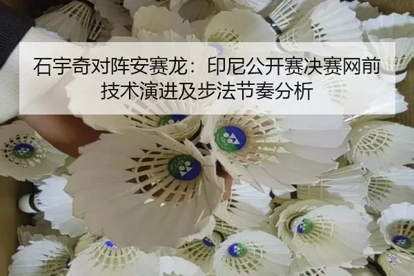 shi-yu-qi-dui-zhen-an-sai-long-yin-ni-gong-kai-sai-jue-sai-wang-qian-ji-shu-yan-jin-ji-bu-fa-jie-zou-fen-xi-2-641.jpg